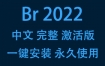 Adobe Bridge 2022中文完整激活版下载安装（一键安装永久使用）