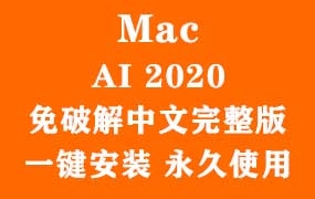 Adobe Illustrator 2020 for Mac官方中文完整版(一键安装永久使用)