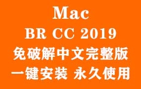 Adobe Bridge CC 2019 for Mac官方中文完整版(一键安装永久使用)