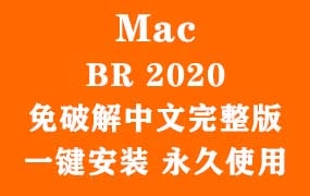 Adobe Bridge 2020 for Mac官方中文完整版(一键安装永久使用)