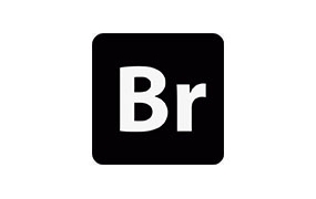 Adobe Bridge 2024 v14.0 for Mac版,中文一键装机【永久使用】