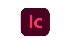 Adobe InCopy 2025 v20.0 for Mac版,中文一键装机【永久使用】